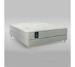 Reflex Wellness H3