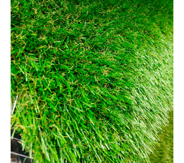 Ландшафтная трава RENNESS (2m.)