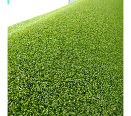 Ландшафтная профессиональная трава, ESTANCIA