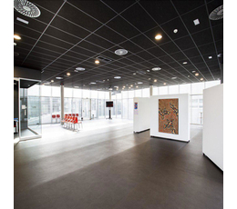 Кассетные подвесные потолки , Material MD