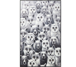 Picture Touched Wild Life