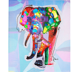 Picture Touched Wildlife Elephant