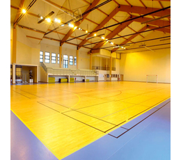 Спортивные напольные покрытия , Material MD