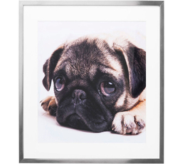 Picture Frame Mops