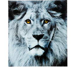Picture Glass Face Lion