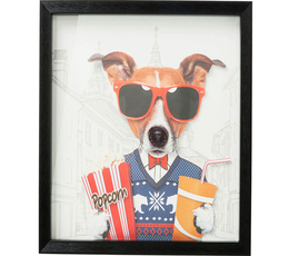 Picture Frame Art Cinema Dog