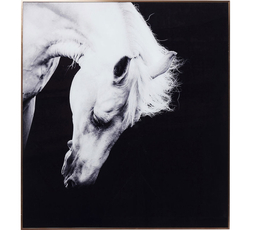 Picture Frame Alu Proud Horse