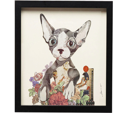 Picture Frame Art Flower Cat