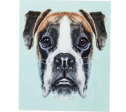 Picture Glass Dog Face
