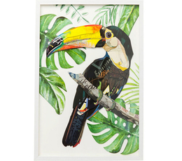 Picture Frame Art Paradise Bird Single