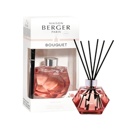 Geometry Pre-filled Red Reed Diffuser- Paris Chic