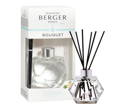 Geometry Pre-filled Clear Reed Diffuser - Zest of Verbena