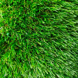 Ландшафтная трава PUMA (4m.)