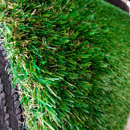 Ландшафтная трава, GRACE (2m.)