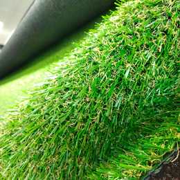 Ландшафтная трава, MADRID (4m.)Ландшафтная трава, MADRID (4m.)