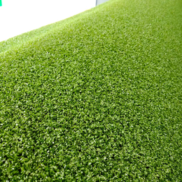 Ландшафтная профессиональная трава, ESTANCIA