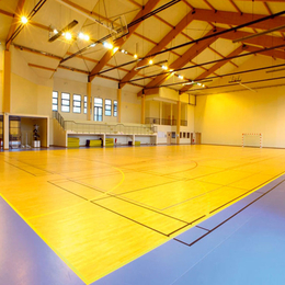 Спортивные напольные покрытия , Material MD