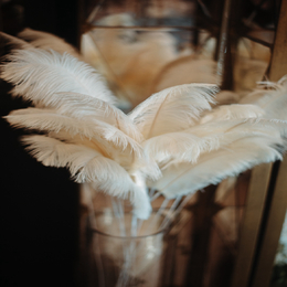 Украшение FEATHERS CREAM