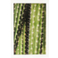 Picture Frame Cactus