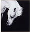 Picture Frame Alu Proud Horse
